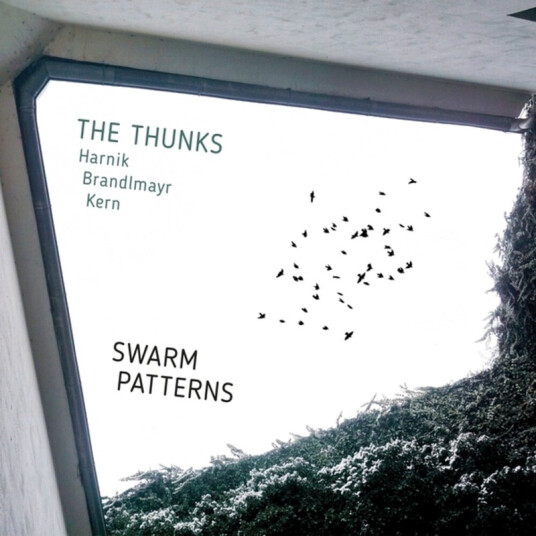 Thunks Swarm Patterns CD