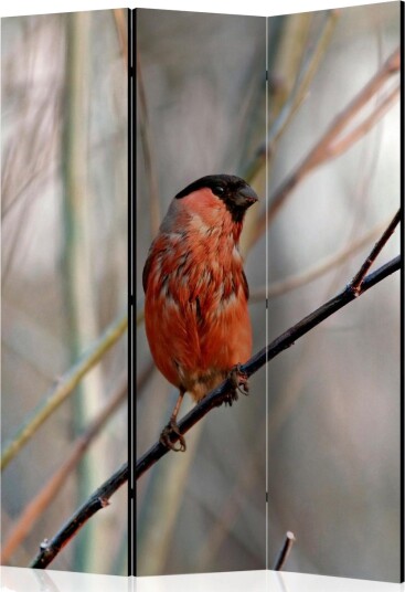 Romdeler - Bullfinch in the forest 135x172 - Artgeist sp. z o. o.