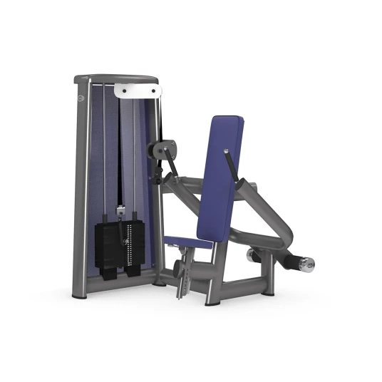 gym80 Sygnum Dip Machine gym80 Sygnum Dip Machine