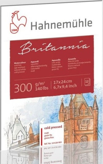Hahnemühle 10628981 Kunstark/ Papir 300 G/M² 12 Ark