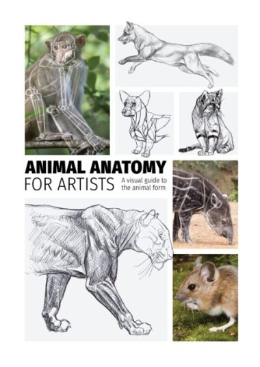 Animal Anatomy for Artists A visual guide to the form of mammals, reptiles, fish, and birds Animal Anatomy for Artists A visual guide to the form of mammals, reptiles, fish, and birds