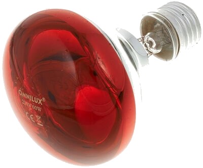 Omnilux R80 Leuchtmittel E27 Rot