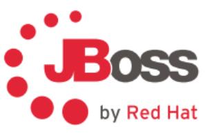 RED HAT Li/Jboss Ent Web Sv w Mgm 16/EN 1 Yr Std