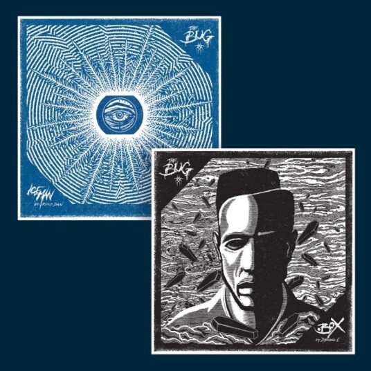 The Bug Box / Iceman LP/Vinyl