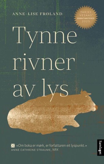 Tynne rivner av lys Tynne rivner av lys