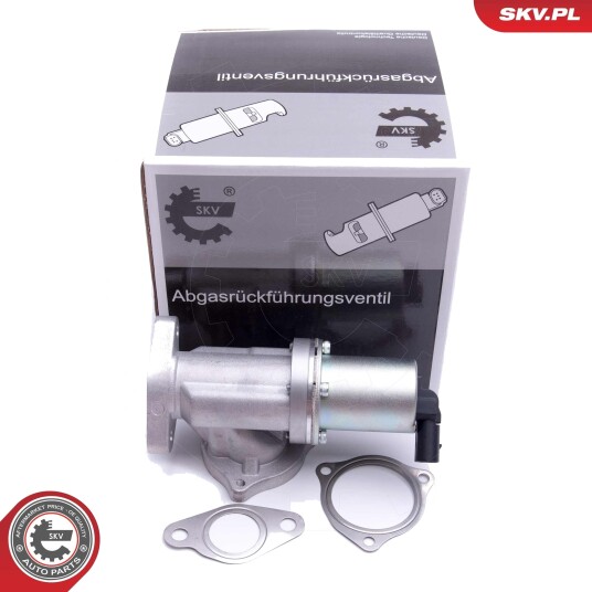 ESEN SKV 14SKV209 EGR-ventil