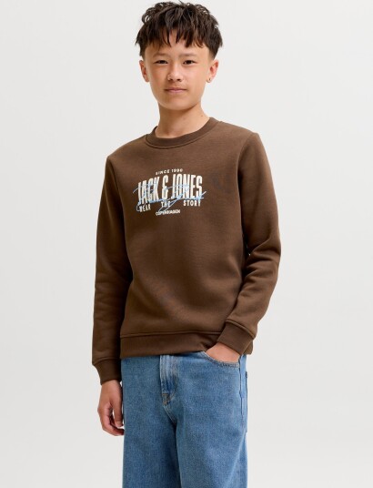 Jack & Jones Jjaero Sweat Crew Neck Jnr Brown 152
