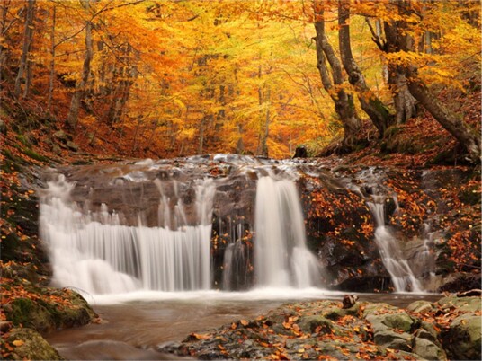 Fototapet Autumn Landscape Waterfall In Forest 200x154 - Artgeist sp. z o. o.