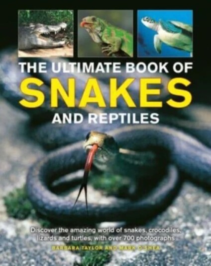Snakes And Reptiles, Ultimate Book Of Av Barbara Taylor