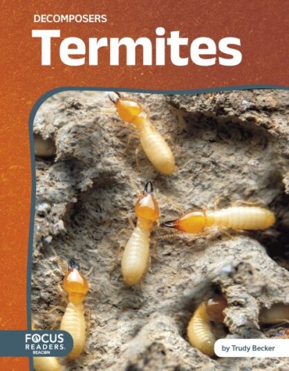 Decomposers: Termites Decomposers: Termites
