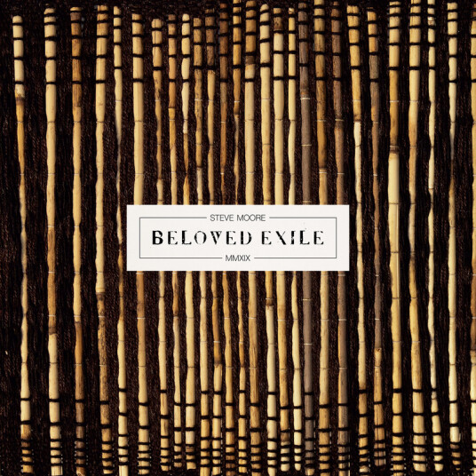 Steve Moore Zombi Beloved Exile CD