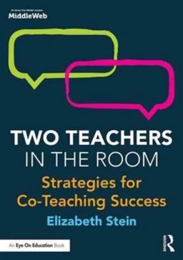 Two Teachers In The Room Av Elizabeth Stein