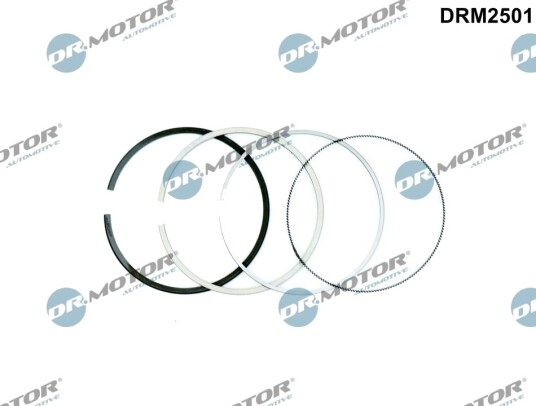 DR.MOTOR AUTOMOTIVE DRM2501 Stempelringsett