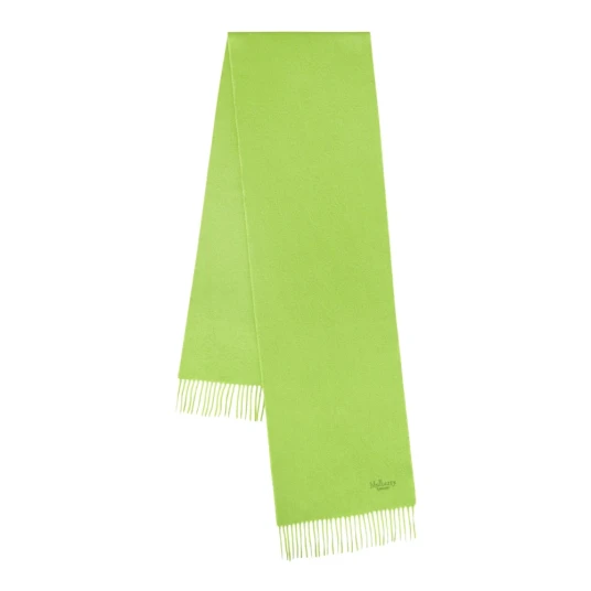 Mulberry unisex Accessories Grønn ONE SIZE, Mulberry unisex Accessories Grønn ONE SIZE,