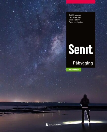 Senit Påbygging Av Lars Arne Juel, Peter Van Marion, Einar Stølevik, Bodil Svendsen, Bodil Louise Svendsen