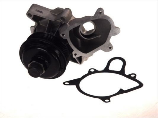 THERMOTEC D1B030TT Vannpumpe THERMOTEC D1B030TT Vannpumpe