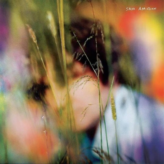 Sam Amidon Sam Amidon Limited Edition Blueberry Vinyl