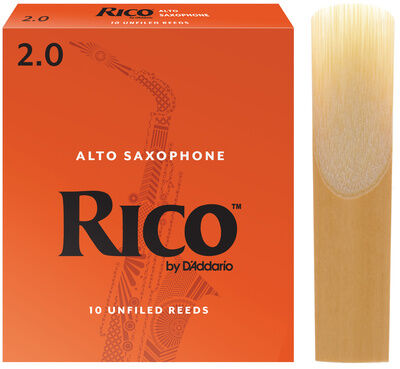 Daddario Woodwinds Rico Alto Sax 2 Daddario Woodwinds Rico Alto Sax 2