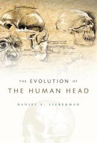 The Evolution Of The Human Head Av Daniel E. Lieberman