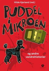 Puddel I Mikroen