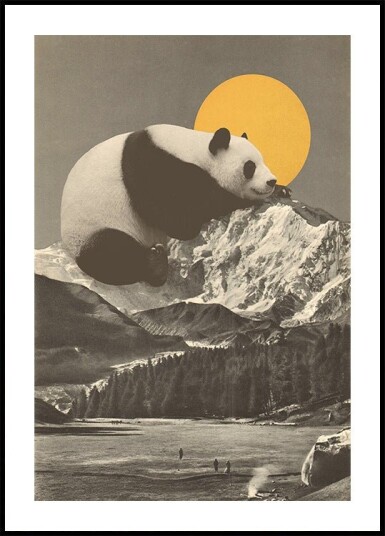 Giant Panda Nap Plakat Plakat / 40x50cm