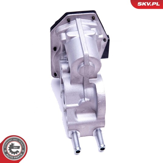 ESEN SKV 14SKV215 EGR-ventil