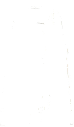 Viktoriachan Dame Bluser & Skjorter Hvit S,