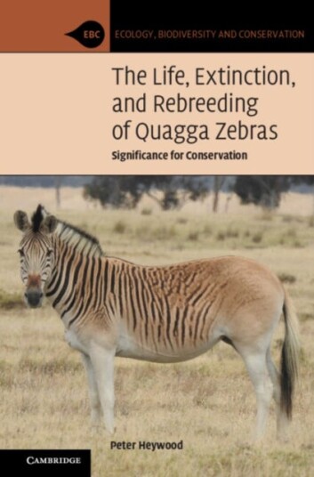 The Life, Extinction, And Rebreeding Of Quagga Zebras Av Peter (Brown University Rhode Island) Heywood