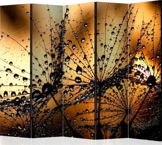 Romdeler Dandelions In The Rain 225x172 - Artgeist sp. z o. o.