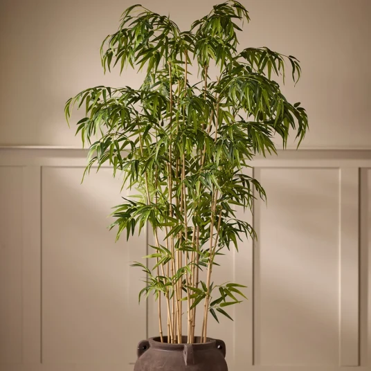Mr Plant Bambus 180 cm Mr Plant Bambus 180 cm