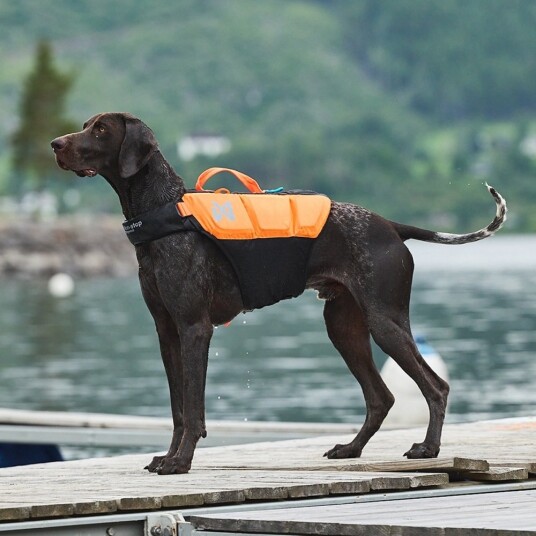 Non-Stop Dogwear Protector Redningsvest Oransje og Svart til Hund Størrelse 6