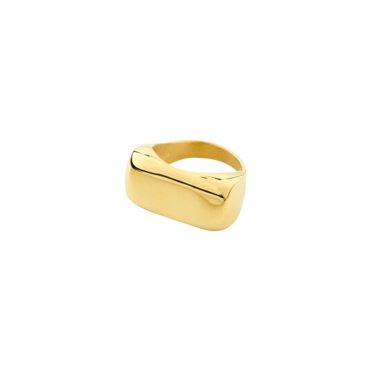 Pilgrim AERO ring gullbelagt