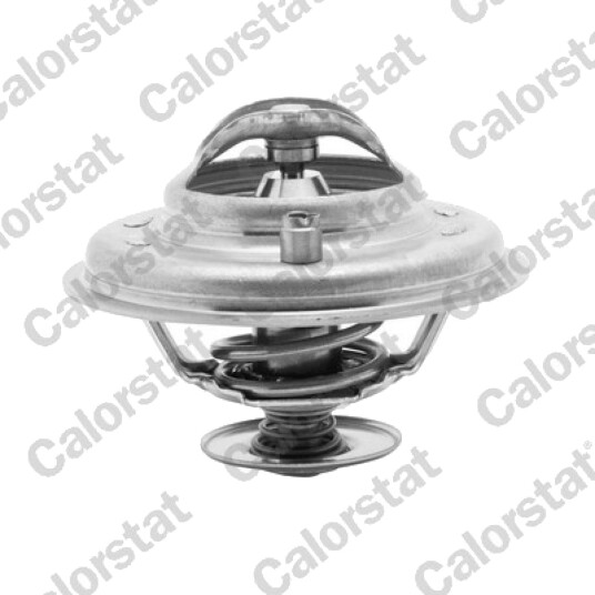 Termostat CALORSTAT by Vernet TH5973.80J