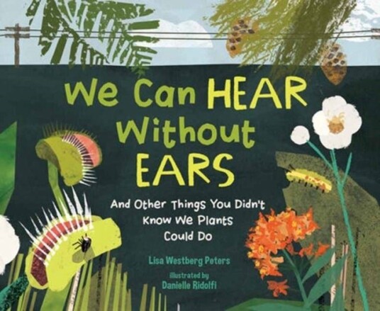 We Can Hear Without Ears