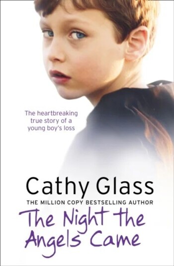 The Night The Angels Came Av Cathy Glass The Night The Angels Came Av Cathy Glass