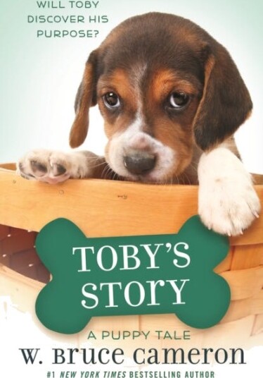 Toby's Story A Puppy Tale