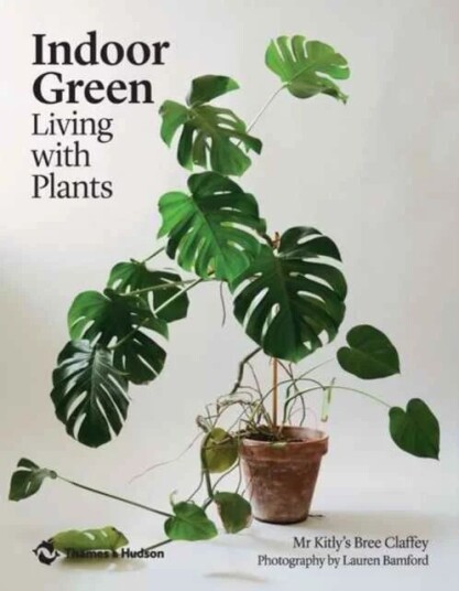 Indoor Green Av Mr Kitly'S Bree Claffey
