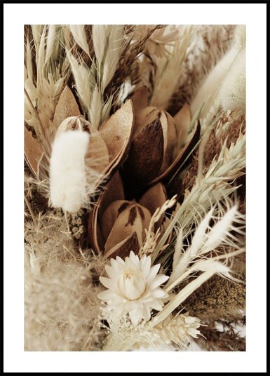 Delicate Dried Flowers Bouquet Plakat Plakat / 100x150cm