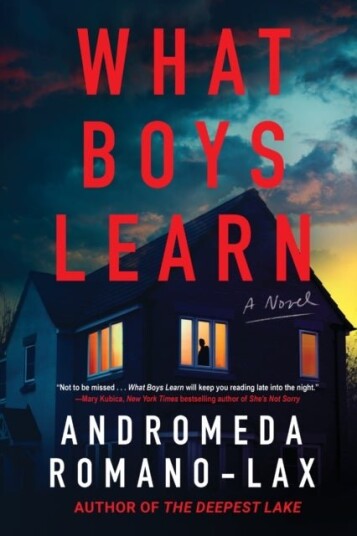 What Boys Learn What Boys Learn
