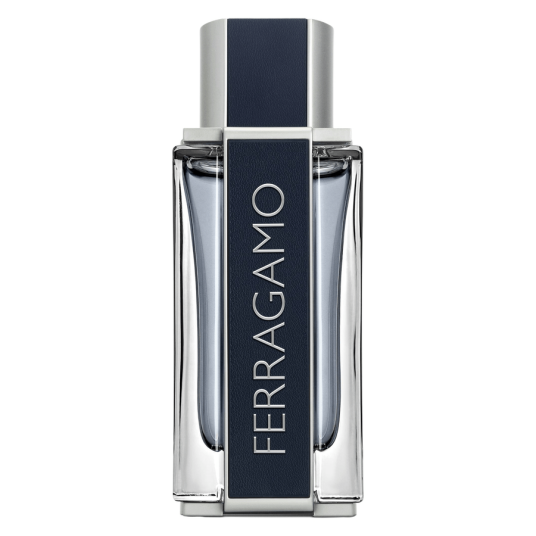 Ferragamo Men Eau De Toilette 100ml Ferragamo Men Eau De Toilette 100ml