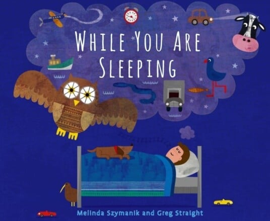 While You Are Sleeping While You Are Sleeping
