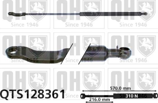 QUINTON HAZELL QTS128361 Baklukedemper