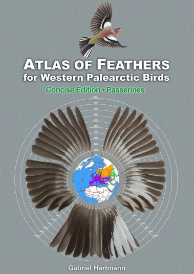 Atlas of Feathers for Western Palearctic Birds Passerines Concise Edition