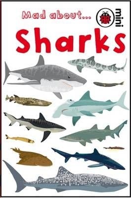 Mad About Sharks Mad About Sharks