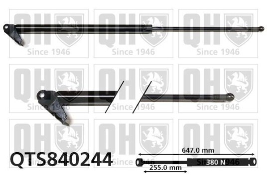 Baklukedemper QUINTON HAZELL QTS840244