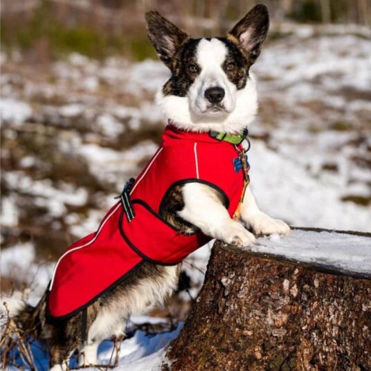 Softshell Regnavstøtende Hundedekken
