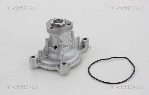 TRISCAN 8600 29050 Vannpumpe