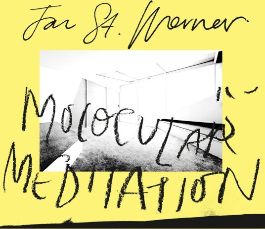 Jan St Werner Molocular Meditation Usa Vinyl