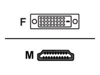 AG NEOVO CB-01 - adapterkabel - HDMI / DVI - 1.8 m