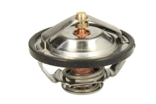 Termostat THERMOTEC D2CA009TT
